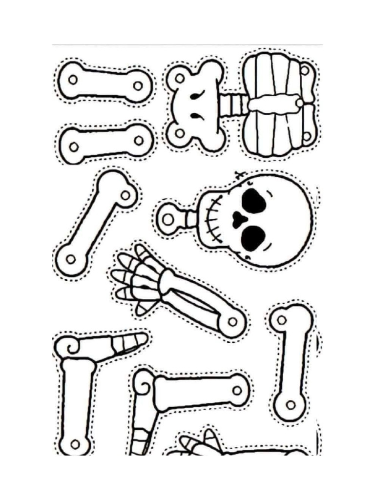 Skeleton | PDF