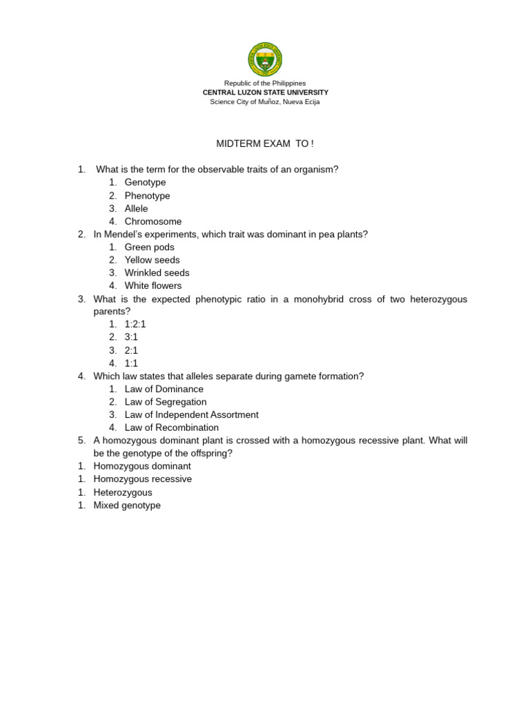 Exam Eneme | PDF