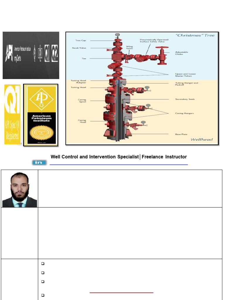 API 6A Specification Overview | PDF | Casing (Borehole) | Chemical ...