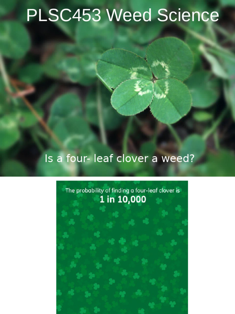 Understanding Weeds and Their Impact | PDF | Weed | Soil