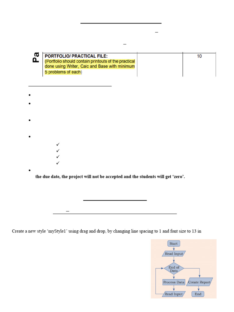 Class X IT Practical File Guidelines | PDF | Software | Computing