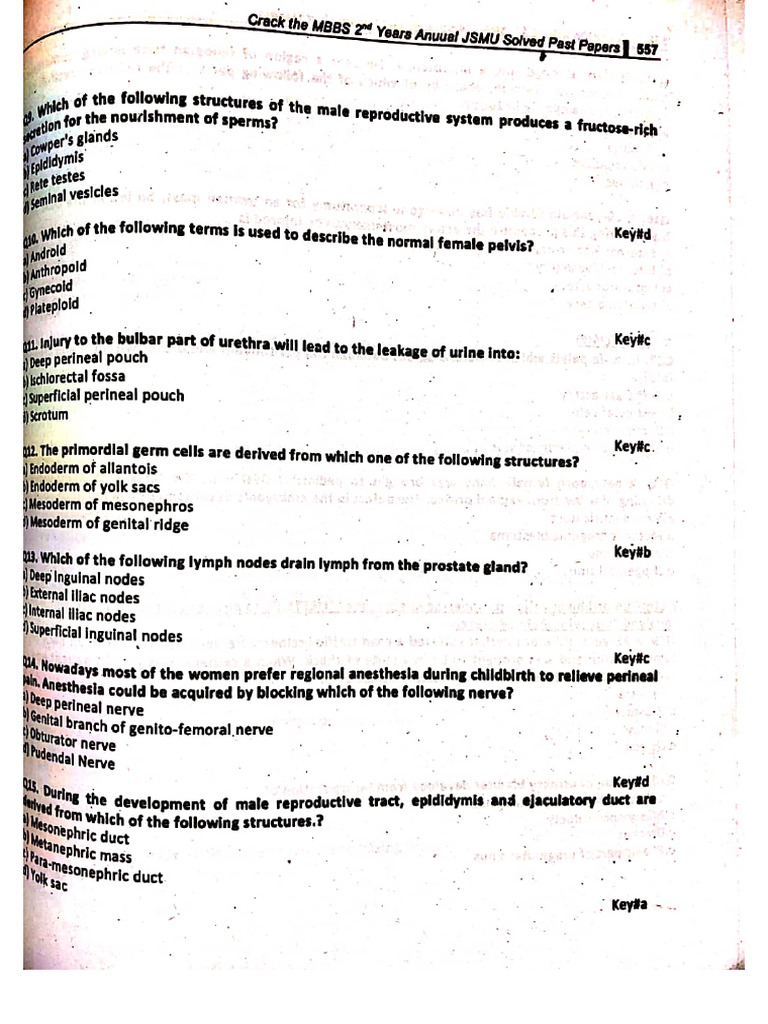 Document Scanning with CamScanner | PDF