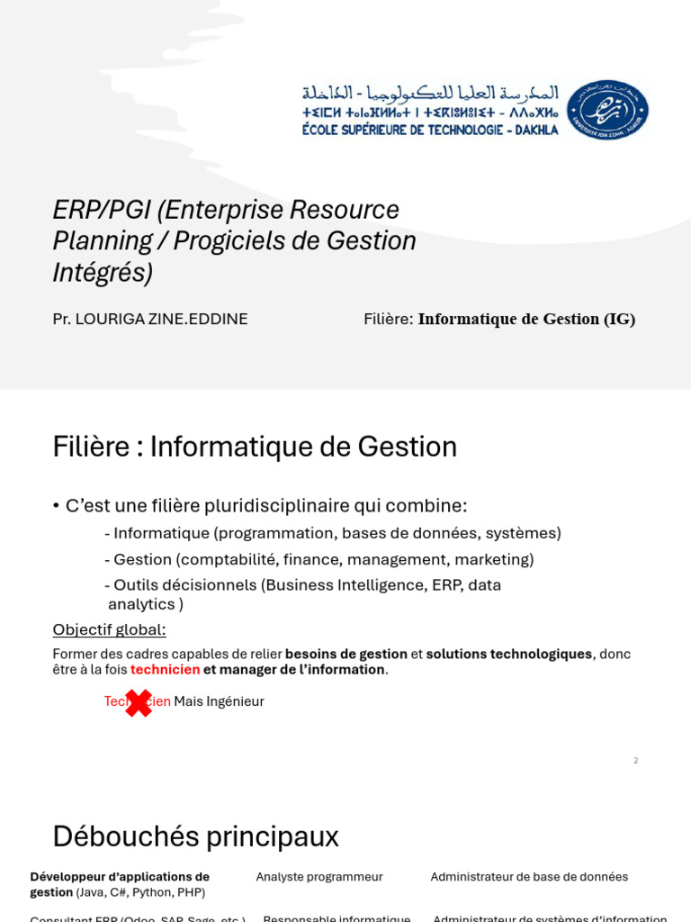 Introduction aux ERP et PGI en Gestion | PDF | Progiciel de gestion ...