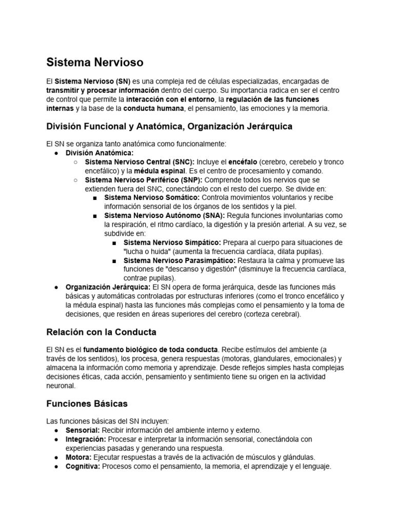 Funciones y Estructura del Sistema Nervioso | PDF | Sinapsis | Las ...