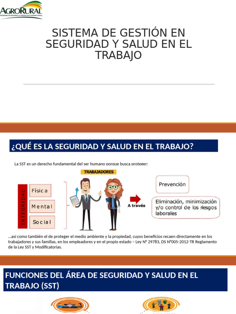 Sistema de Gestión en Seguridad y Salud | PDF | Seguridad y salud ...