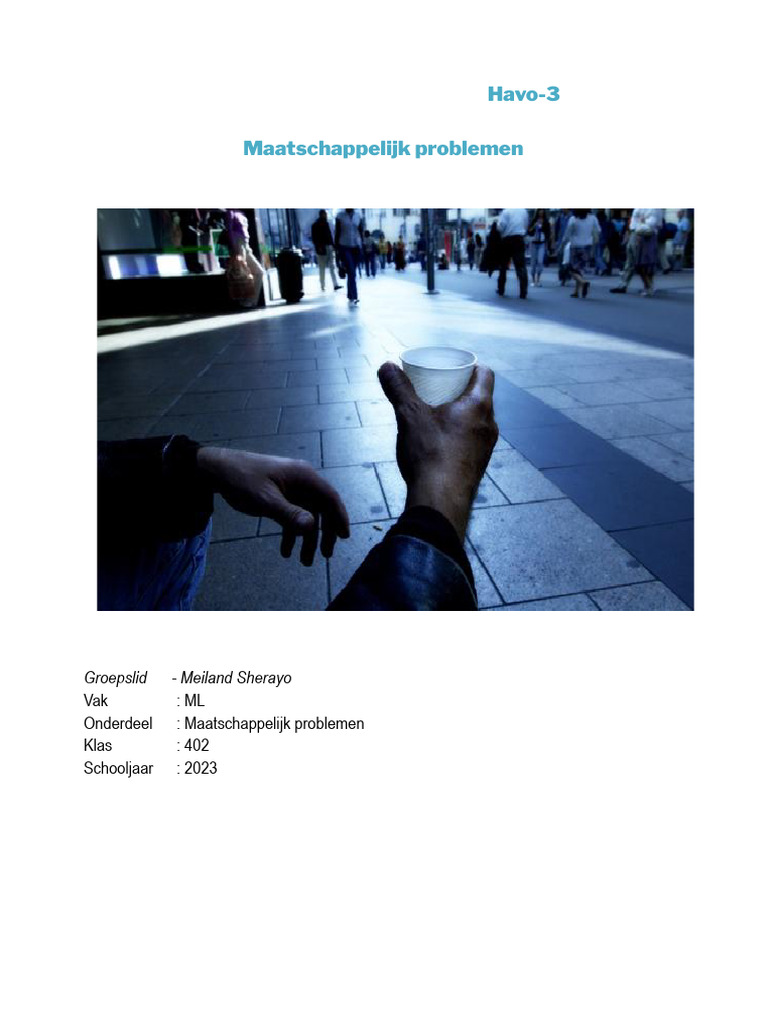 Maatschappelijk Problemen | PDF