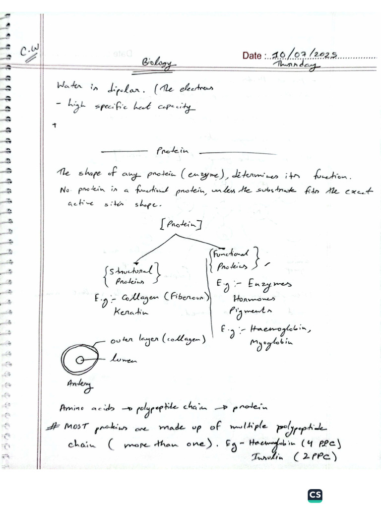 IAL Biology Notes | PDF