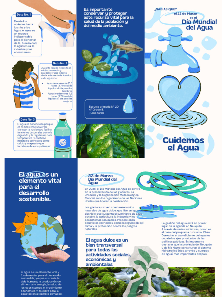 Folleto Cuidado Del Agua Ilustrado Azul | PDF | Agua | Entorno natural