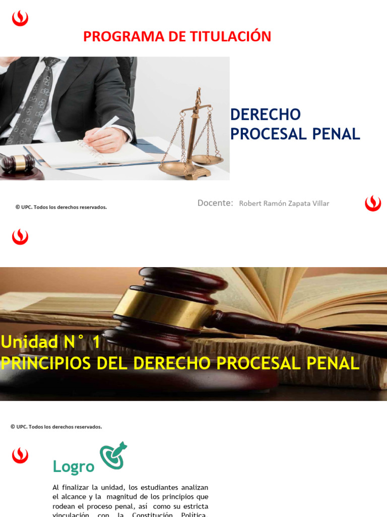 Principios del Derecho Procesal Penal | PDF | Ley procesal | Jurisdicción