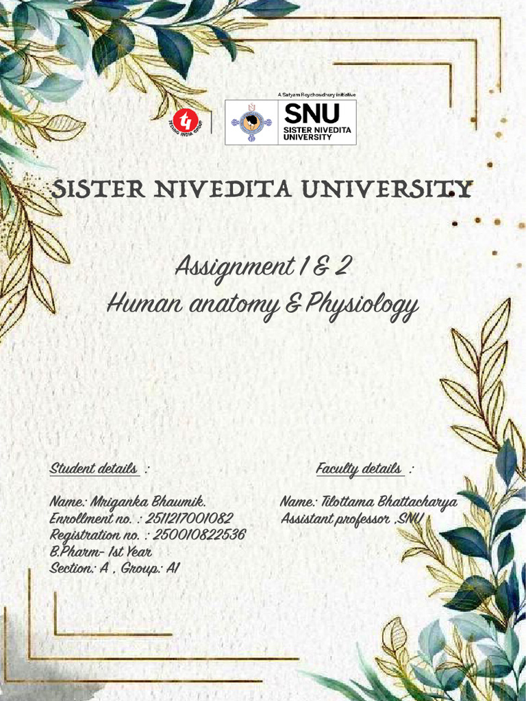 HAP Assignment | PDF
