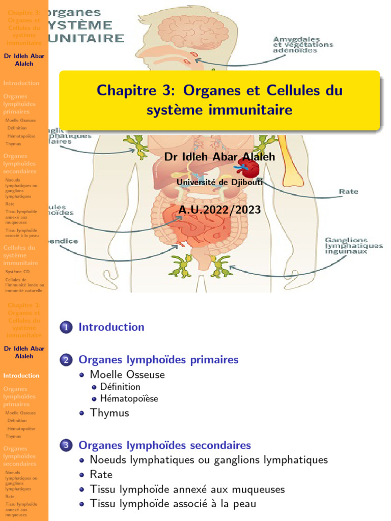 Organes et cellules du système immunitaire | PDF | Système immunitaire ...