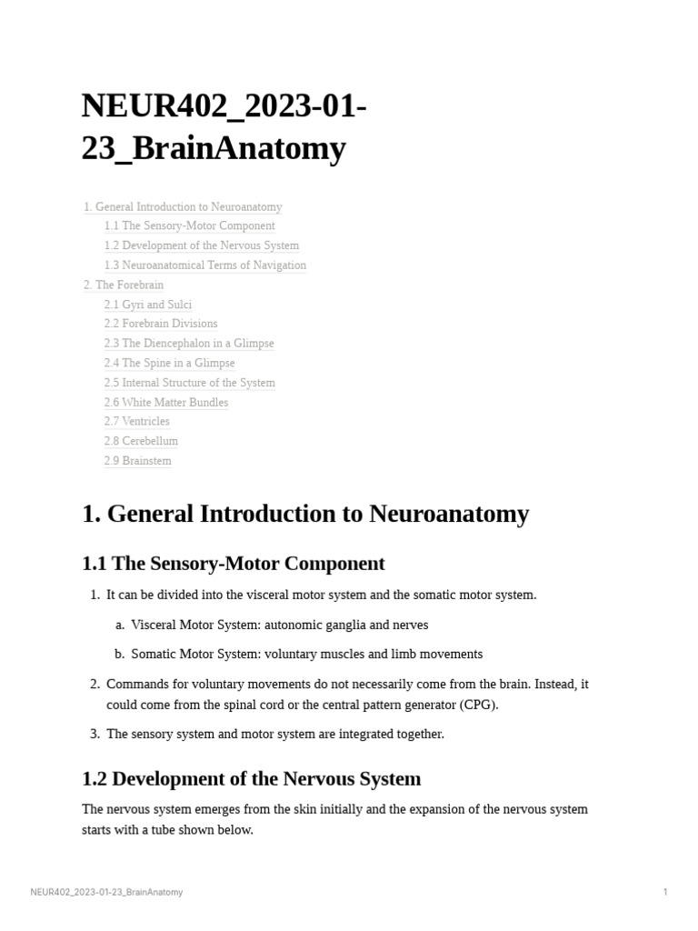 Neuroanatomy Overview and Structure | PDF | Central Nervous System ...