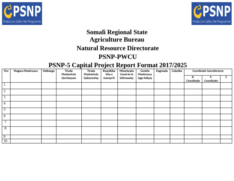 Report Format PSNP5 Capital Projects | PDF