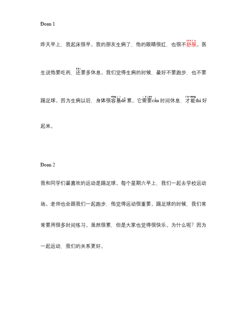 Chim | PDF