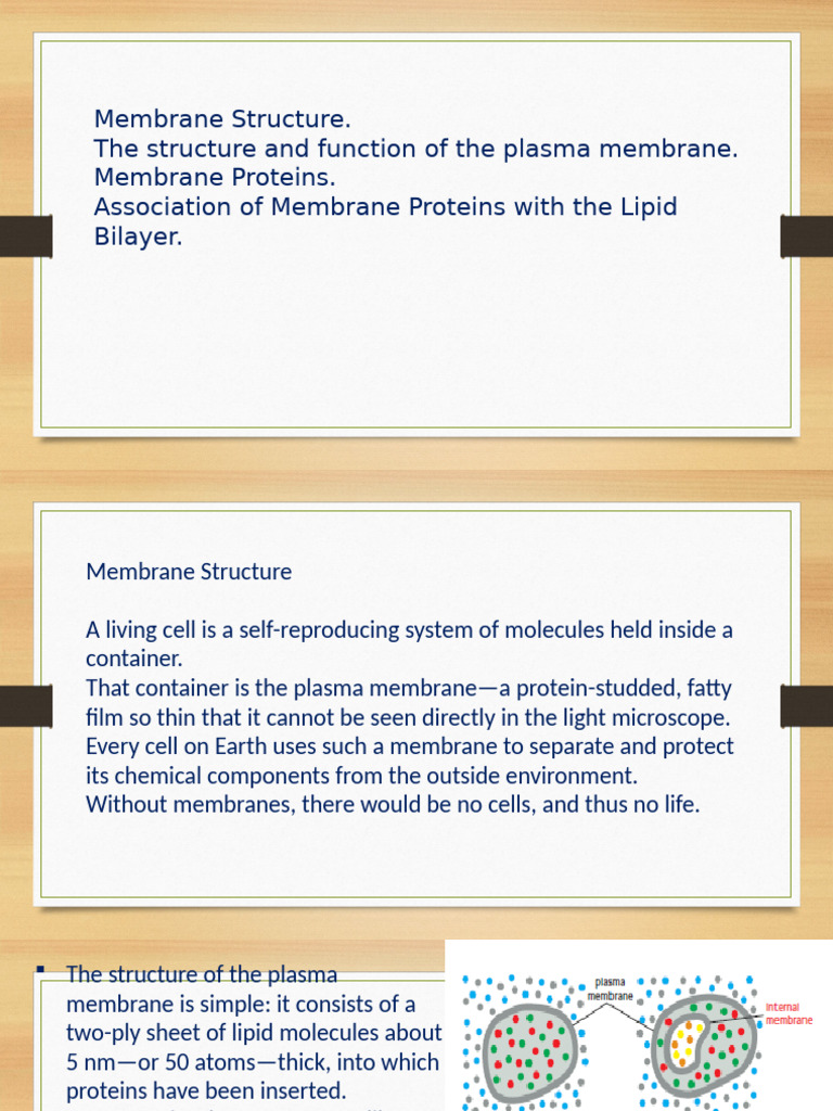 Understanding Plasma Membrane Structure | PDF | Cell Membrane | Lipid ...