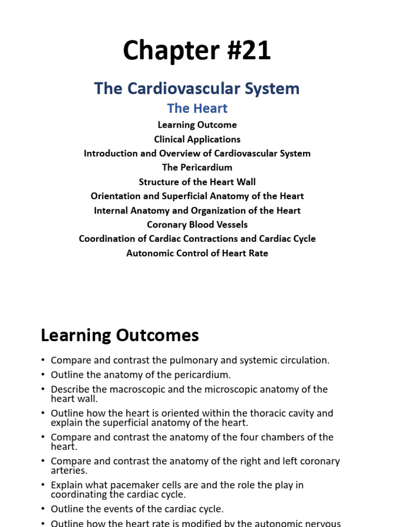 Overview of the Cardiovascular System | PDF | Heart Valve | Coronary ...