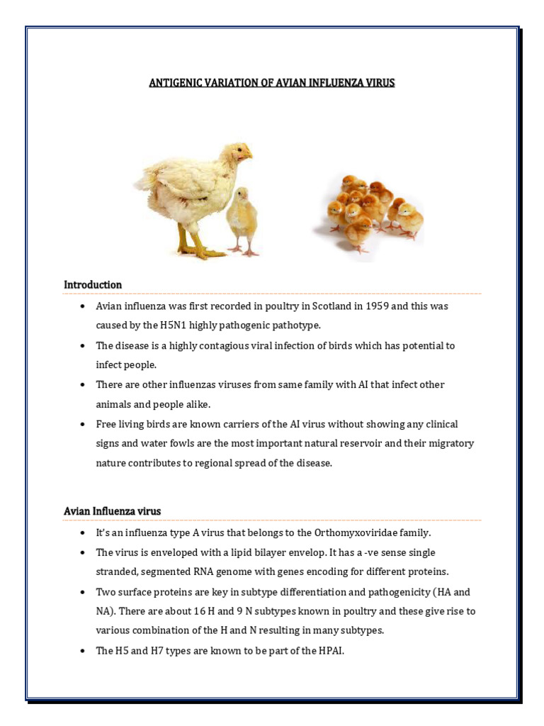 Antigenic Variation of Avian Influenza Virus | PDF | Avian Influenza ...