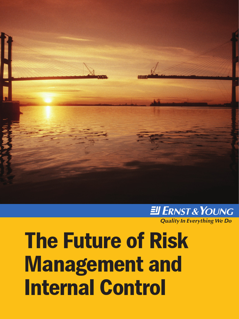 The Future of Risk Management and Internal Control | PDF | Internal ...