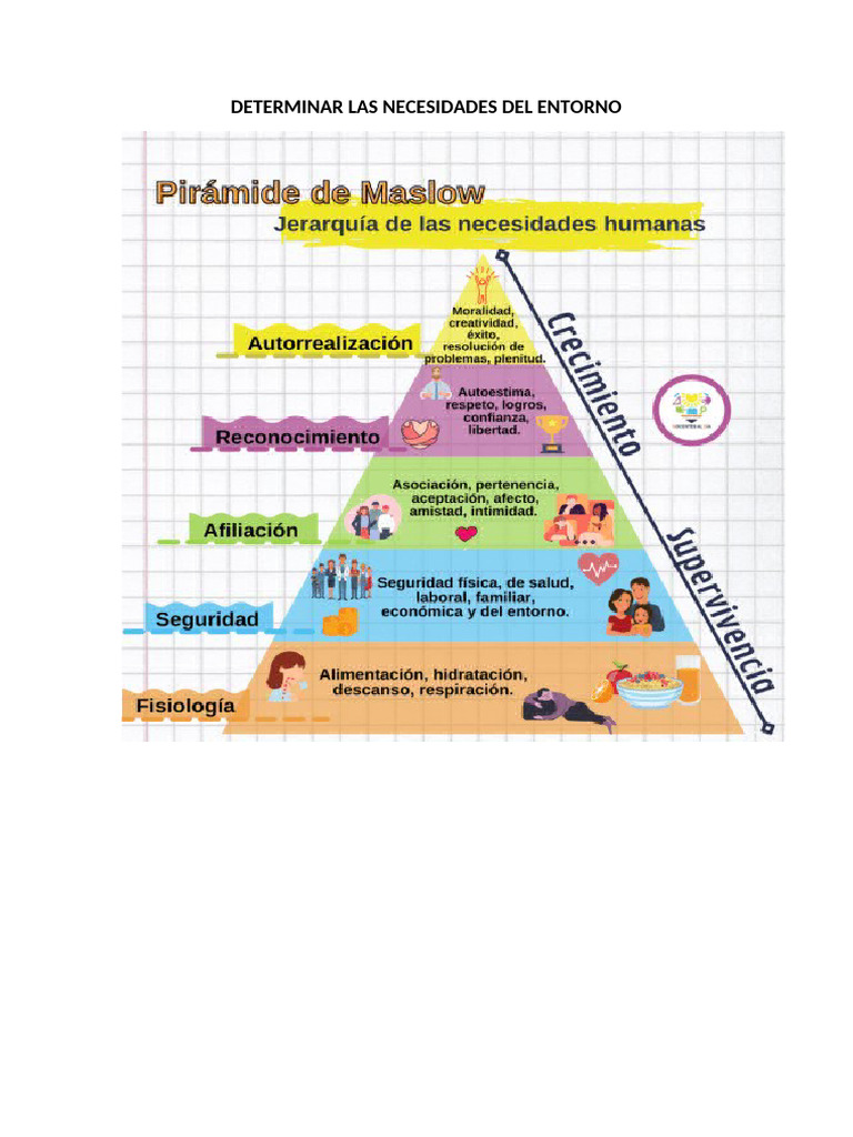 Determinar Las Necesidades Del Entorno | PDF