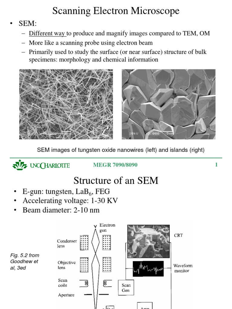 Scanning Electron Microscope: SEM Images of Tungsten Oxide Nanowires ...