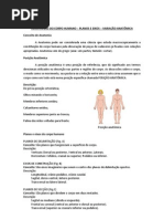 Anatomia Humana