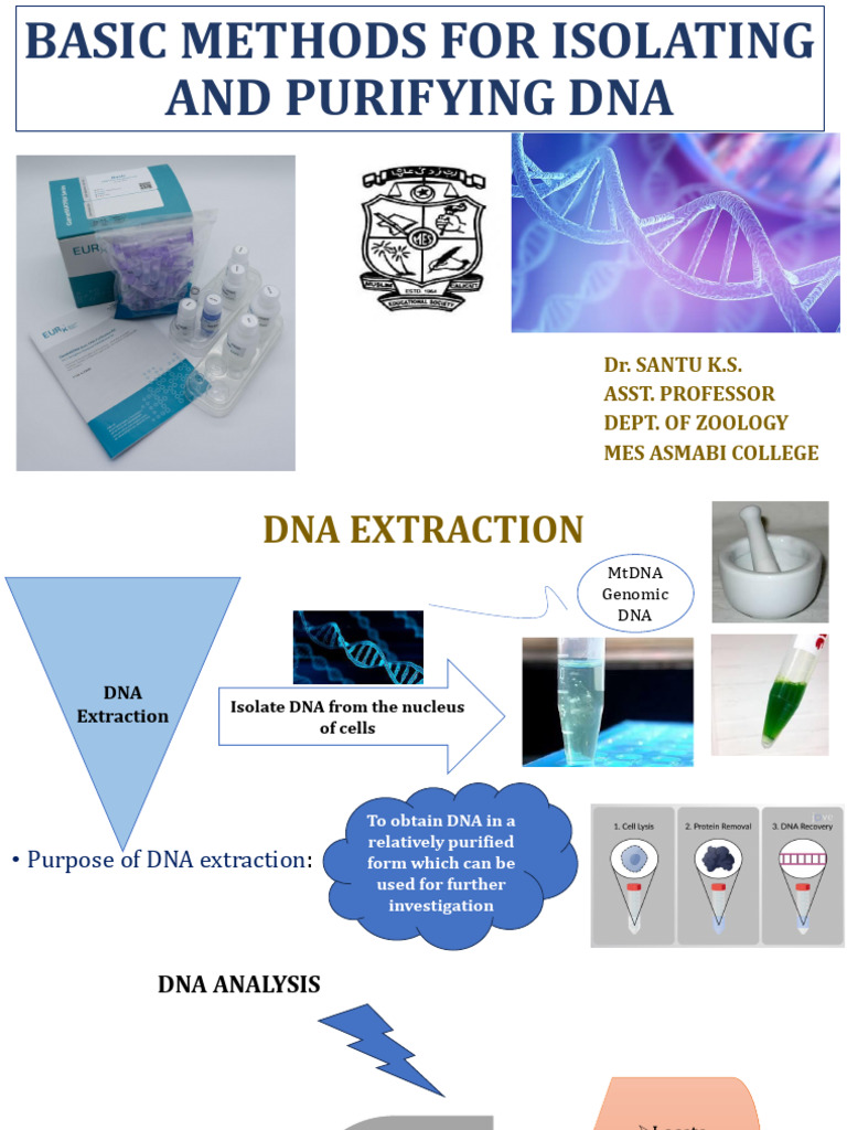 Chelex 100 DNA Extraction Overview | PDF | Lysis | Protein Purification