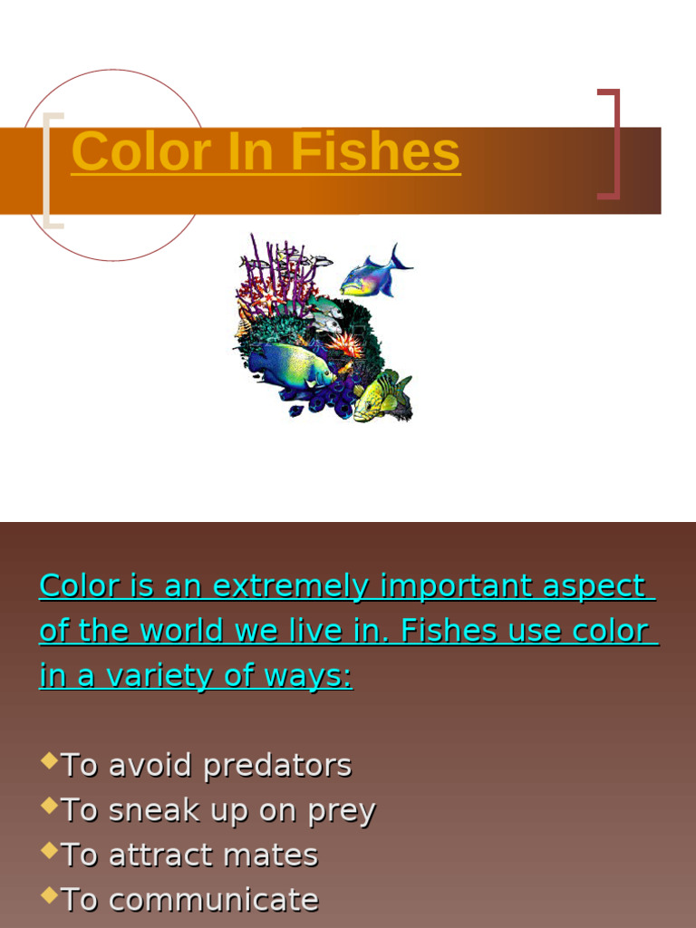 The Role of Color in Fish Behavior | PDF | Mimicry | Biology