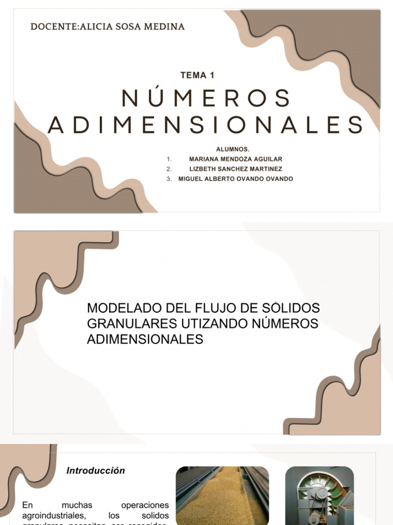 Números Adimensionales | PDF