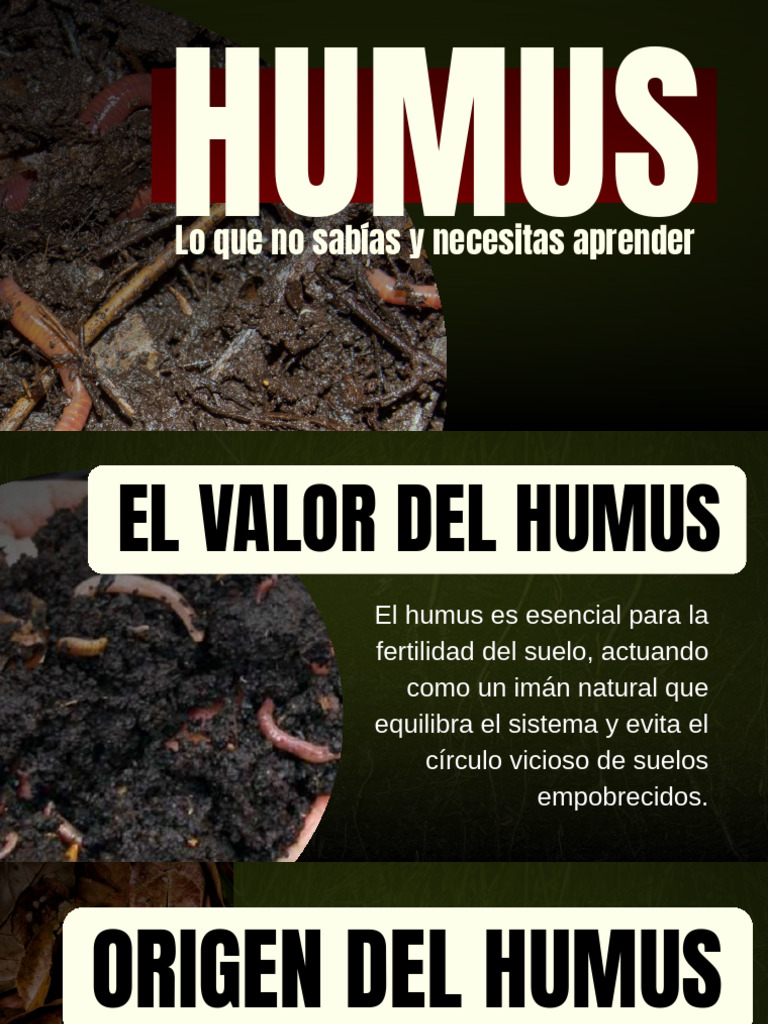 Origen y valor del humus en el suelo | PDF | Suelo | Agua