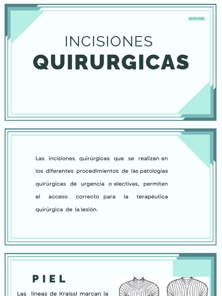 Tipos de Incisiones Quirúrgicas | PDF