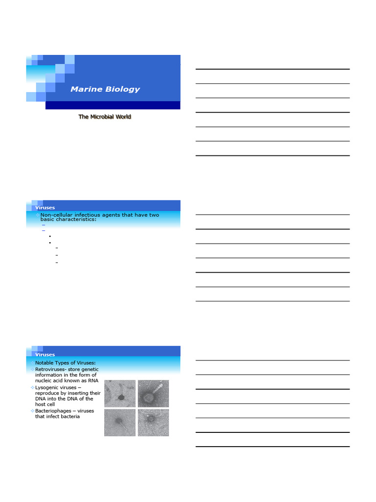 CHAPTER 05 - Student Version | PDF | Virus | Bacteria
