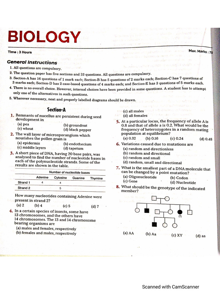 CBSC 3 | PDF