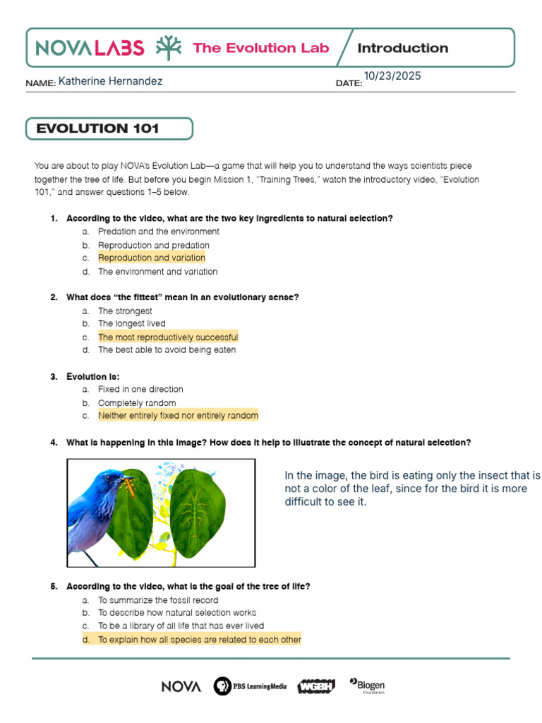 Evolution Lab Mission 4 Answer Key | PDF | Evolution | Dinosaurs