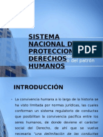 Sistema Nacional de Proteccion de Derechos Humanos