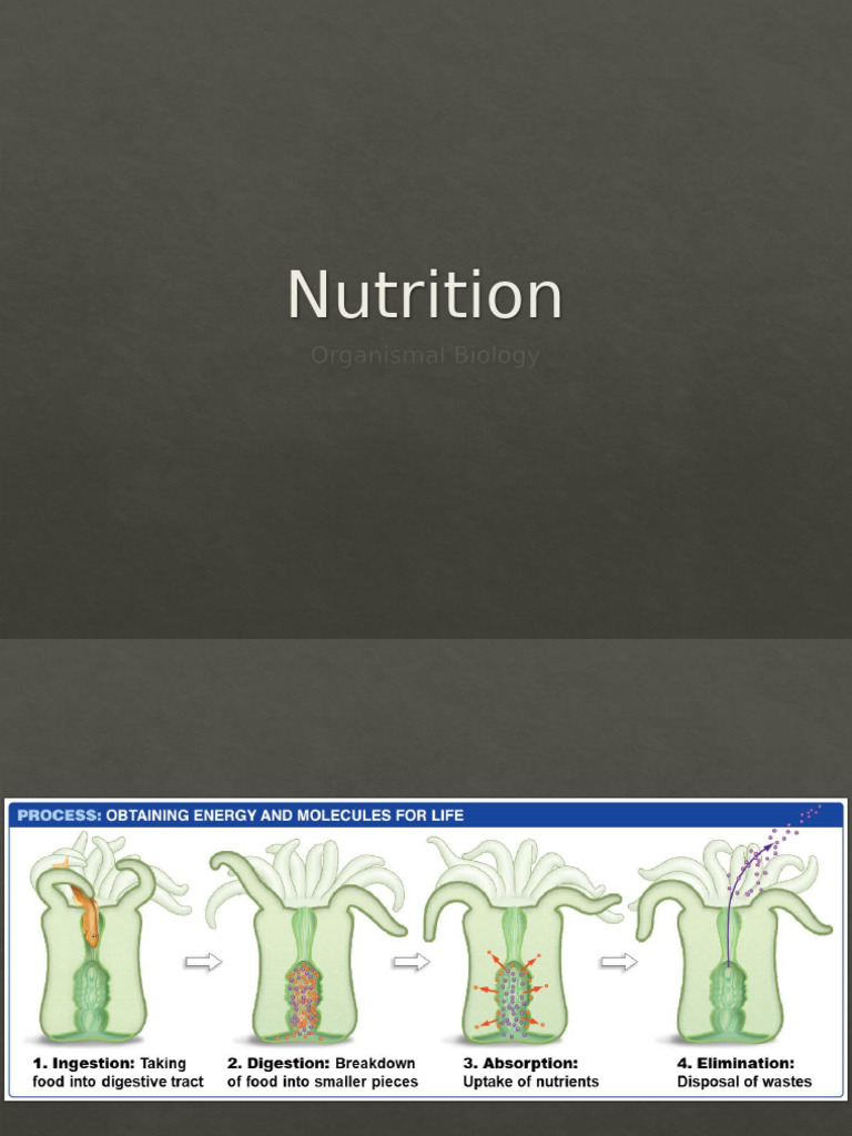 Nutrition F22 | PDF