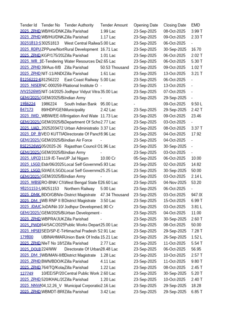 2025 Tender Opportunities Overview | PDF | Governance | Local Government