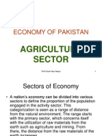 Economy of Pakistan: Agriculture Sector