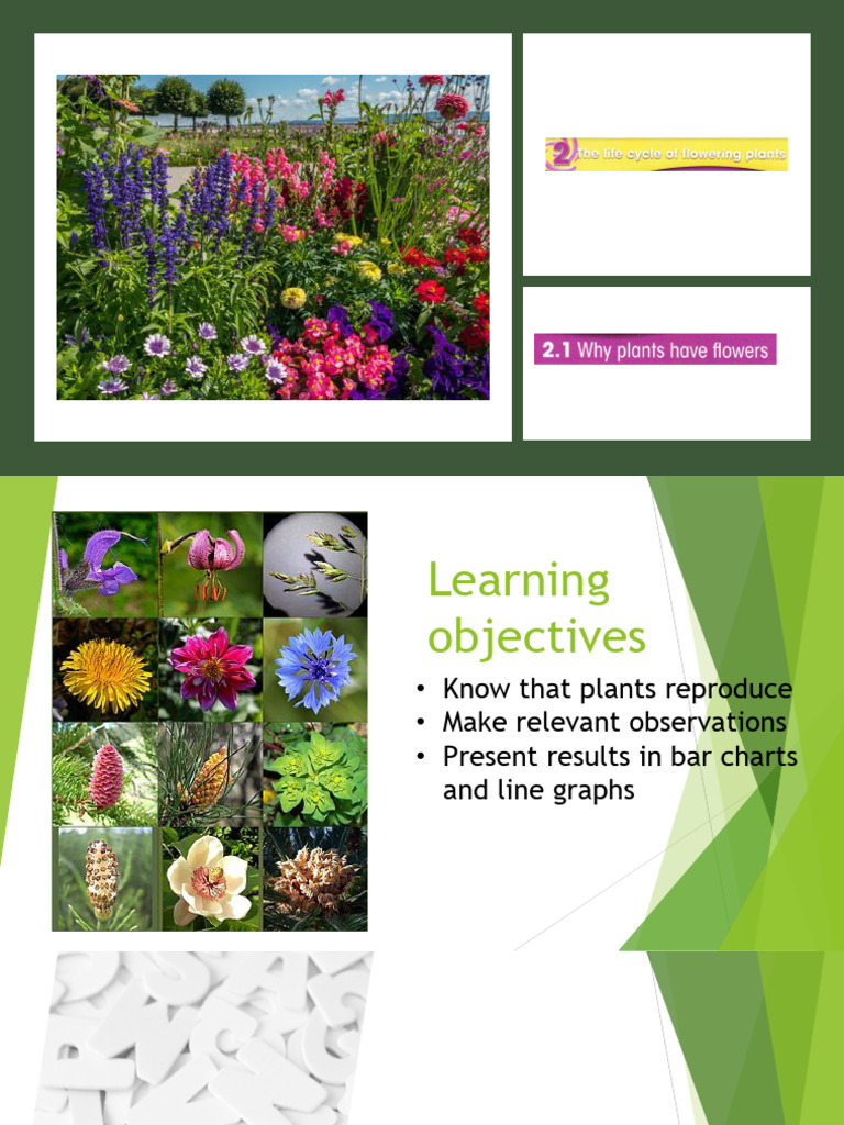 SC 5-2-1 Why Plants Have Flowers | PDF