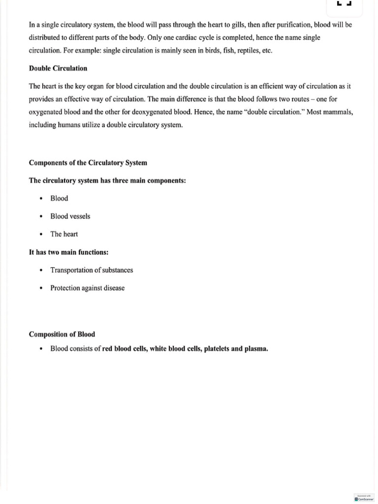 Blood | PDF