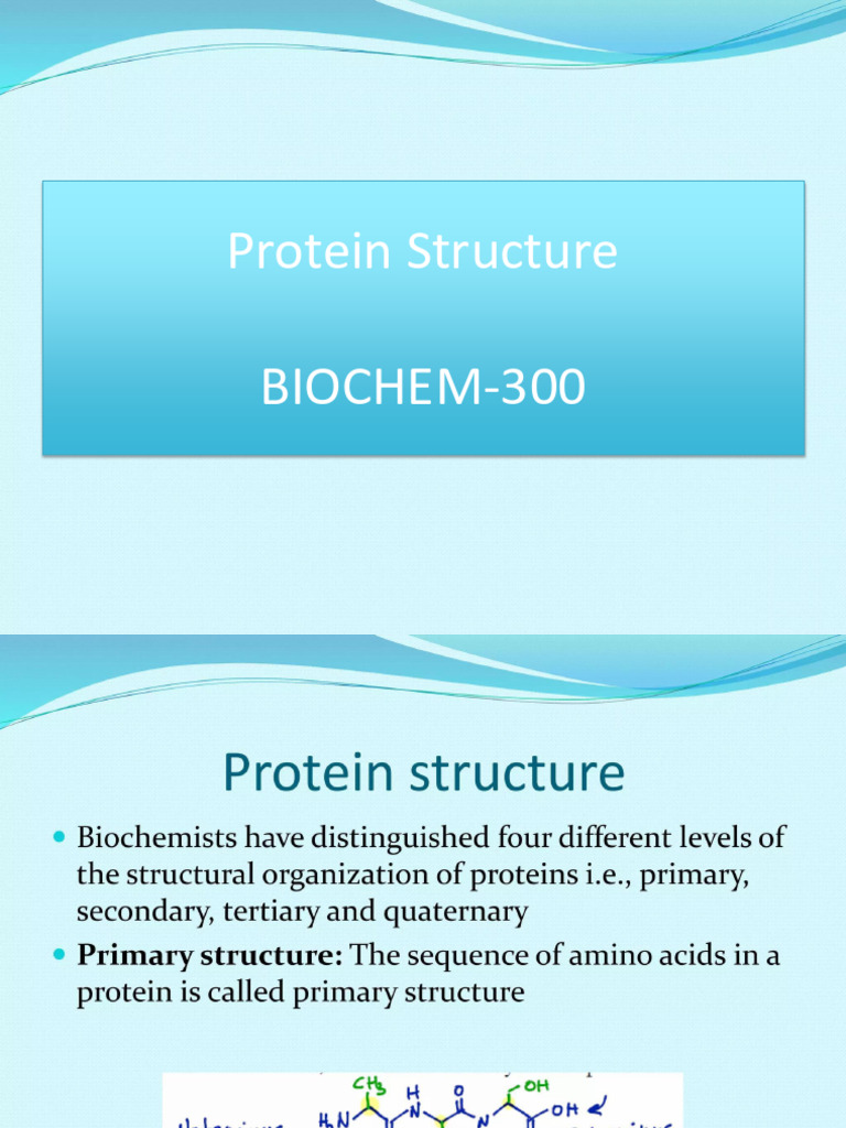 Biochem-300 Protein Structure | PDF
