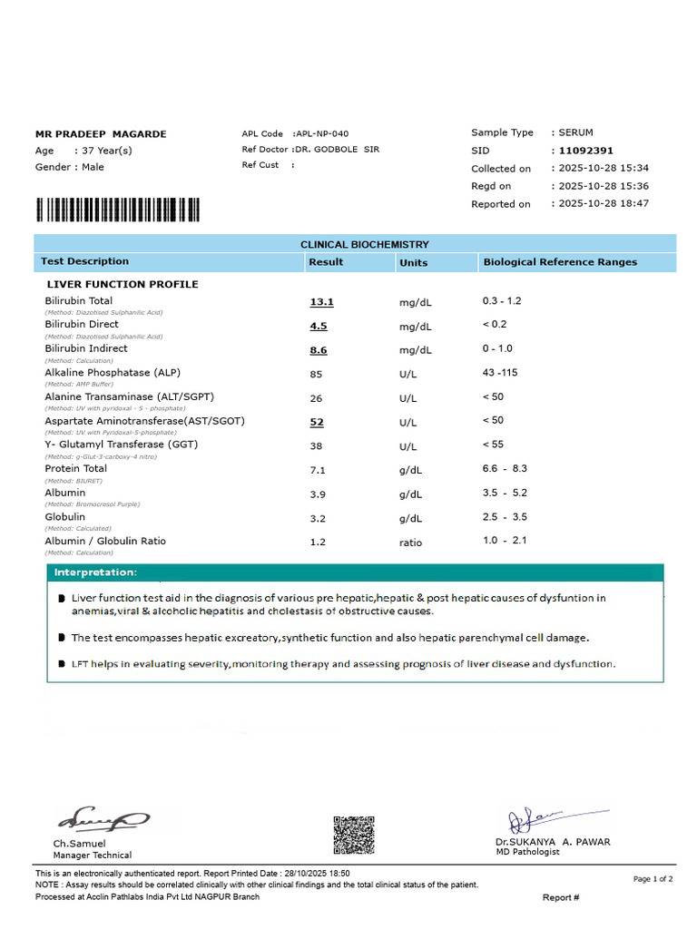 Liver and Blood Test Report for Pradeep Magarde | PDF | Medical ...