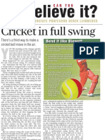 Cricket in Full Swing 02 Dec 06 PGW 02 Cropped