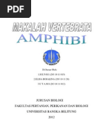 Download makalahamfibibyNitaKusumaLokaSN94106377 doc pdf