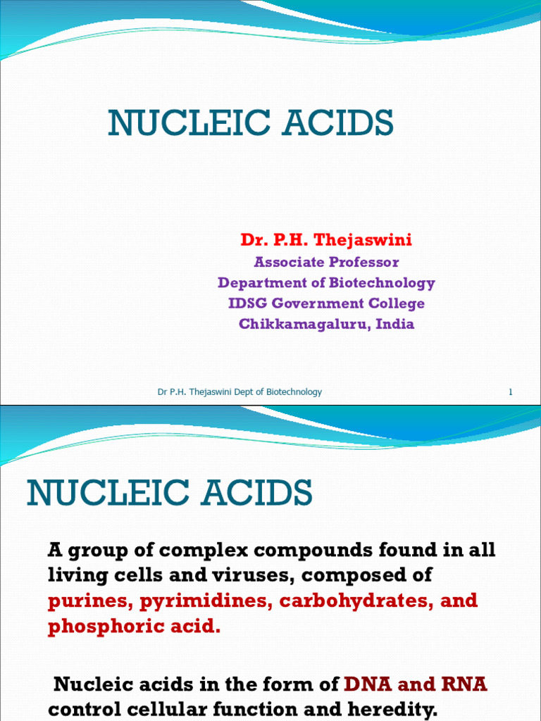 Nucleic Acid(Biotech) | PDF | Rna | Nucleic Acids