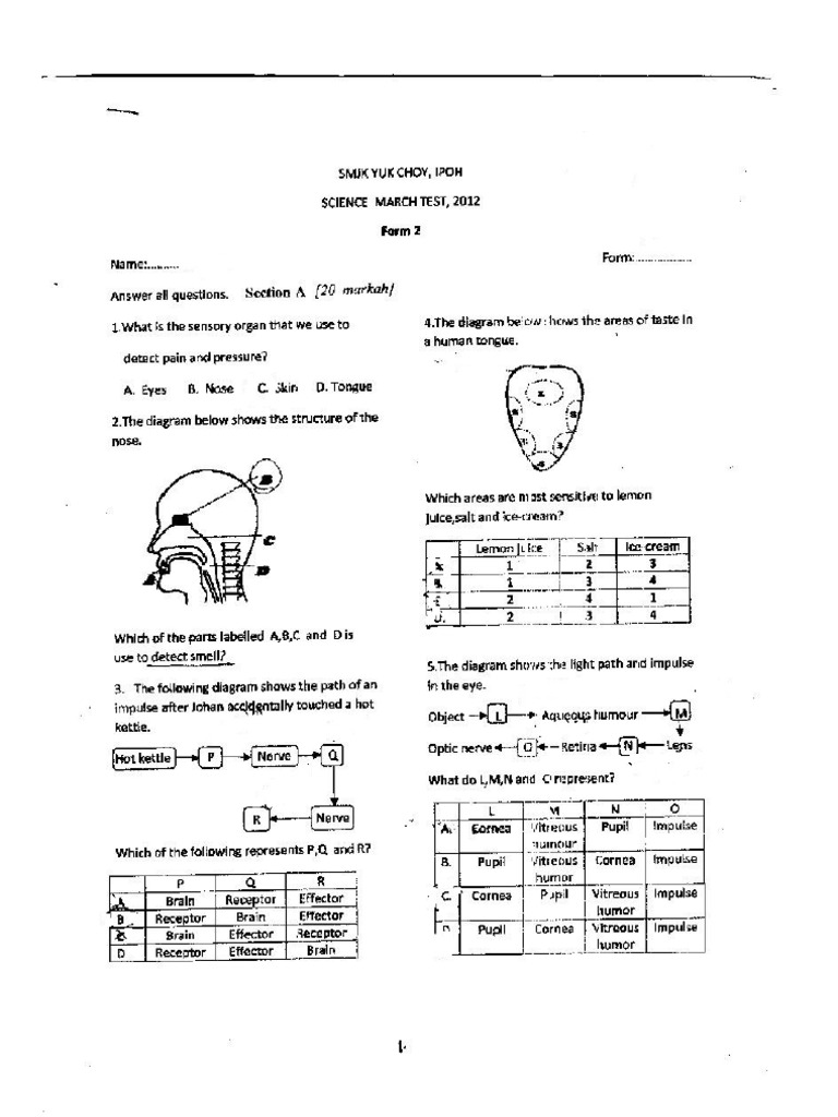 SMJK Yuk Choy Ipoh's Form 2 Science | PDF