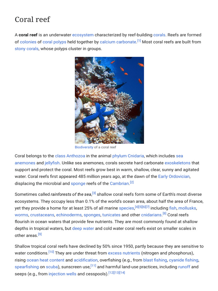 Understanding Coral Reef Ecosystems | PDF | Coral Reef | Coral