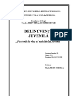 Factorii de risc ai suicidului juvenil - Delincvența Juvenilă. - Slonovschi Dumitru