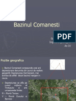 Bazinul Comanesti (2)