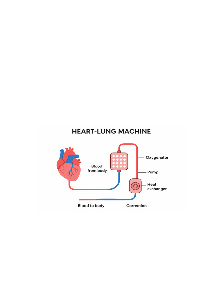 Heart Lung Machine | PDF
