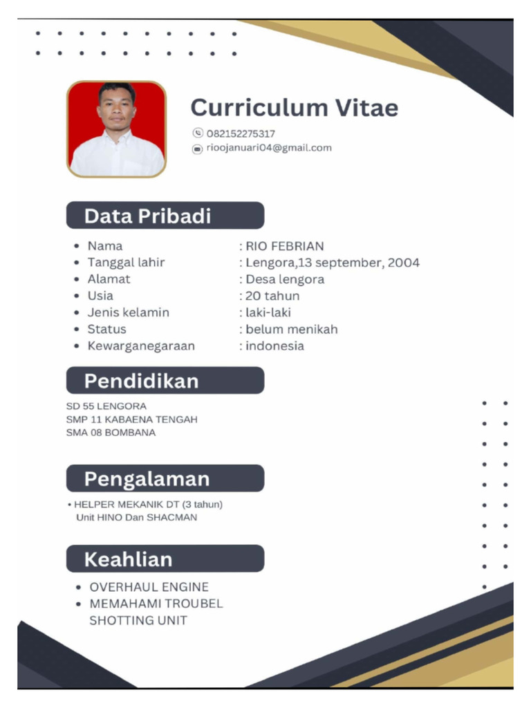CV - Rio Febrian | PDF